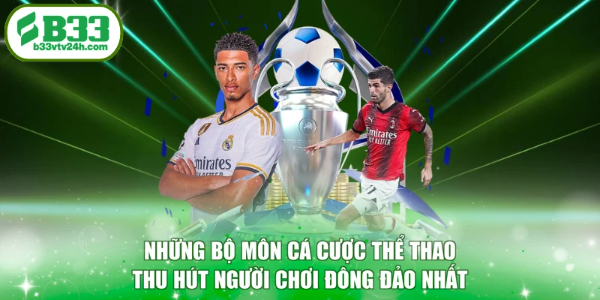 Những bộ môn cá cược thể thao thu hút người chơi đông đảo nhất